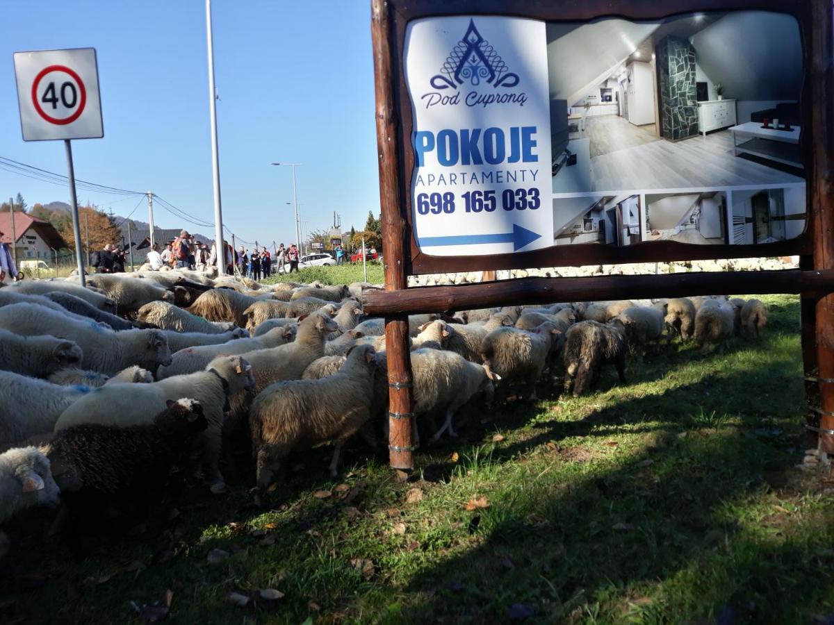 Pokoje Goscinne Pod Cuprona Szczawnica Exterior foto